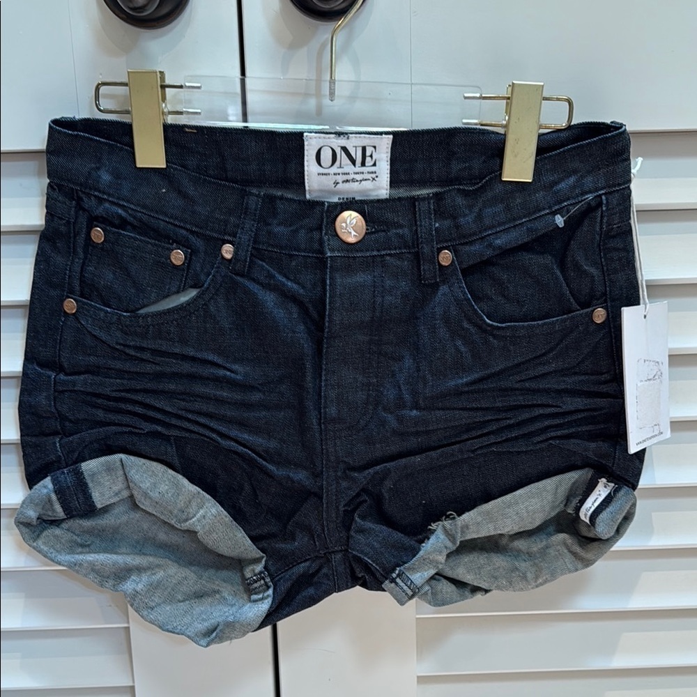 One Teaspoon Black Distressed Jean Shorts